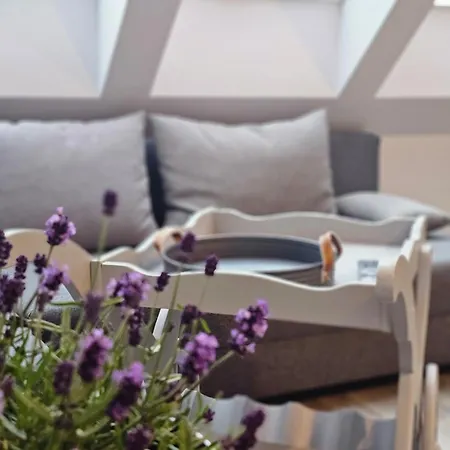 Lawendowa - Z Dostepem Do Sauny I Jacuzzi Gæstehus