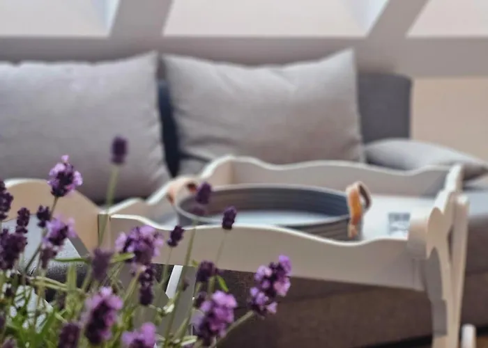 Lawendowa - Z Dostepem Do Sauny I Jacuzzi Gæstehus